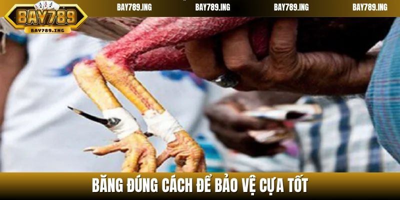 Băng đúng cách để bảo vệ cựa tốt