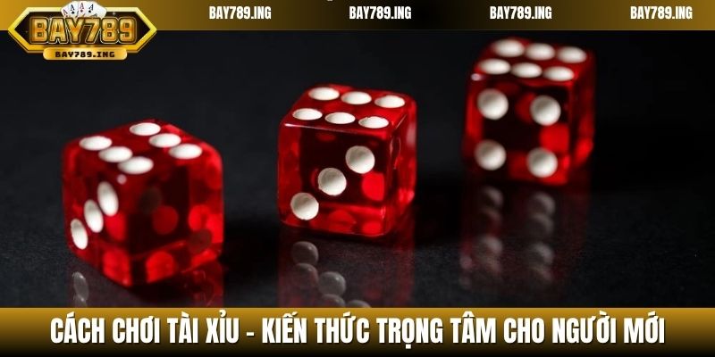 Cách chơi Tài Xỉu