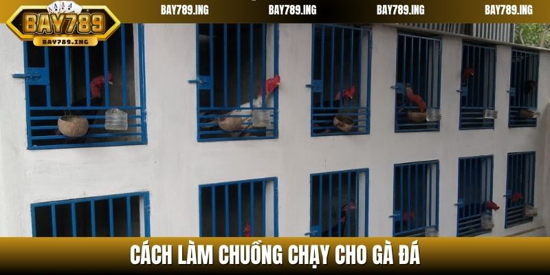 Cách làm chuồng chạy cho gà đá
