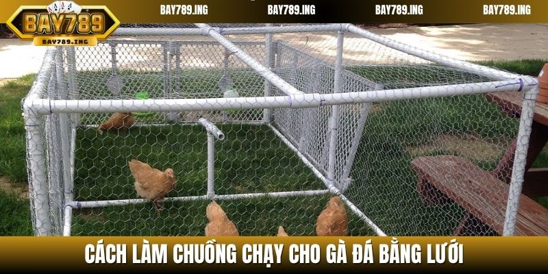 Cách làm chuồng chạy cho gà đá bằng lưới