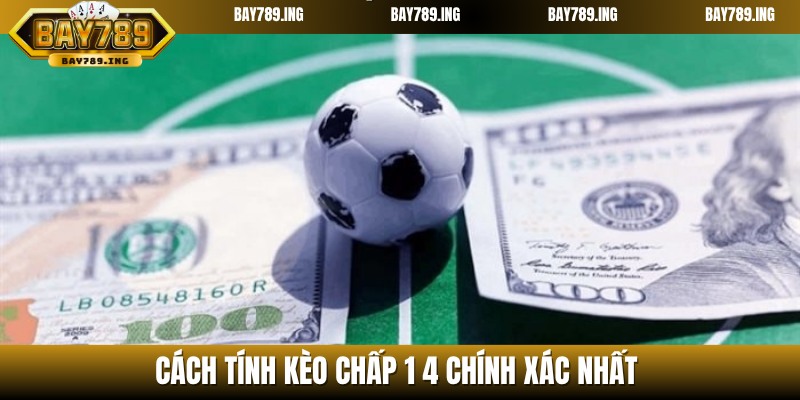 Cách tính kèo dành cho tân binh mới tham gia