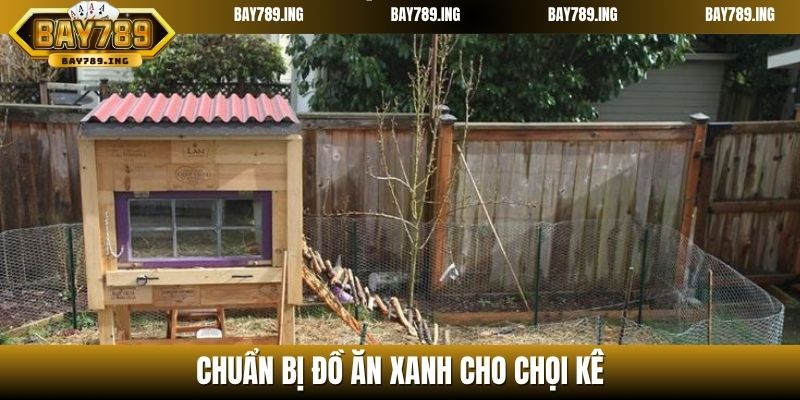 Chuẩn bị đồ ăn xanh cho chọi kê