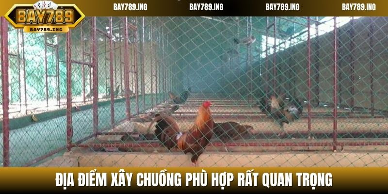 Địa điểm xây chuồng phù hợp rất quan trọng