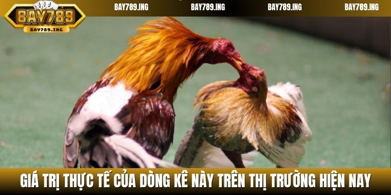 Giá trị thực tế của dòng kê này trên thị trường hiện nay