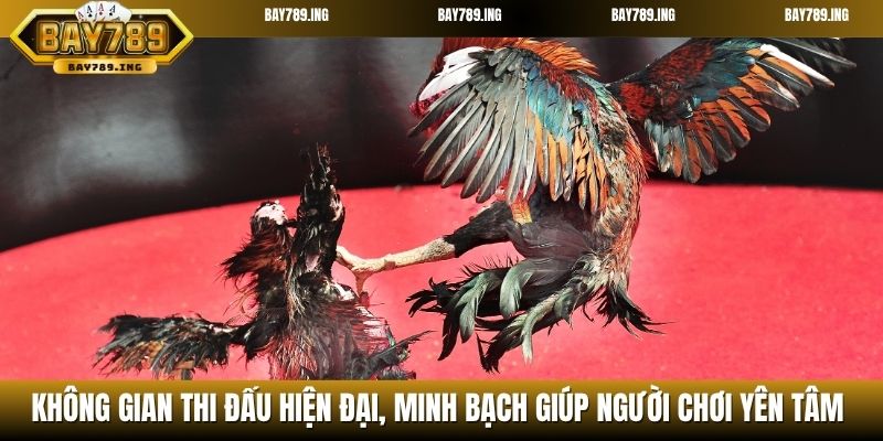 Không gian thi đấu hiện đại, minh bạch giúp người chơi yên tâm