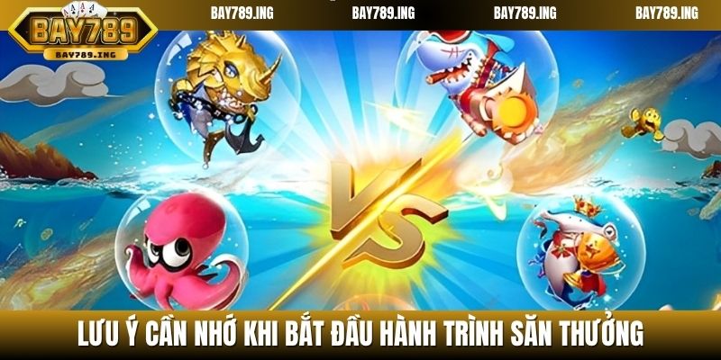 Lưu ý cần nhớ khi bắt đầu hành trình săn thưởng