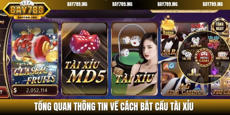 Tổng quan về cách tìm cầu tài xỉu BAY789