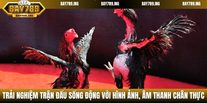 Trải nghiệm trận đấu sống động với hình ảnh, âm thanh chân thực